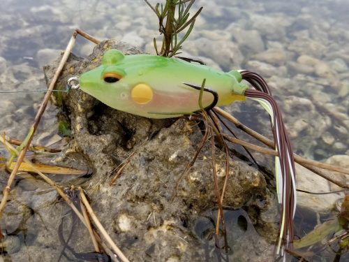 TERMINATOR WALKING FROG – The Bass Hole